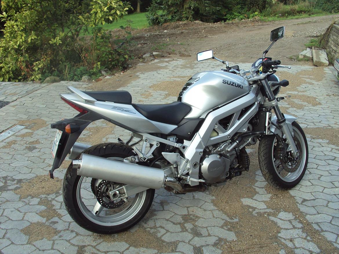 Suzuki SV1000 billede 2