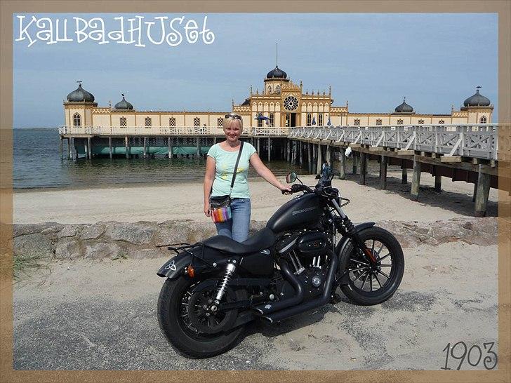 Harley Davidson 883 Iron - Badehus i Varberg, Sverige billede 18