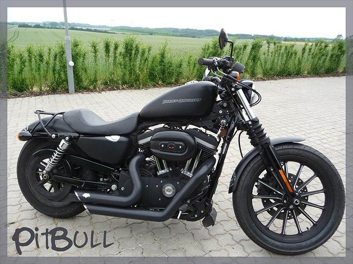 Harley Davidson 883 Iron - Som Leif kalder den. billede 19