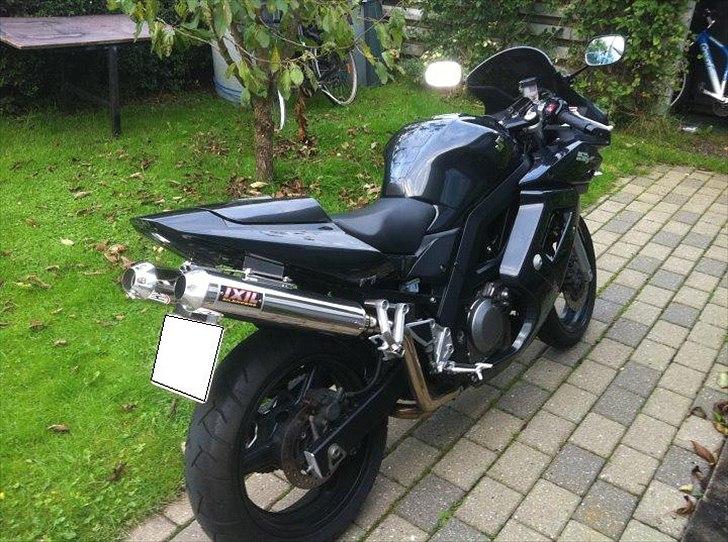 Suzuki Sv 650's billede 6