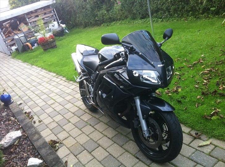 Suzuki Sv 650's billede 4