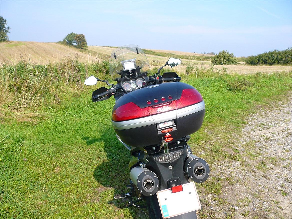 Suzuki DL 1000 billede 3