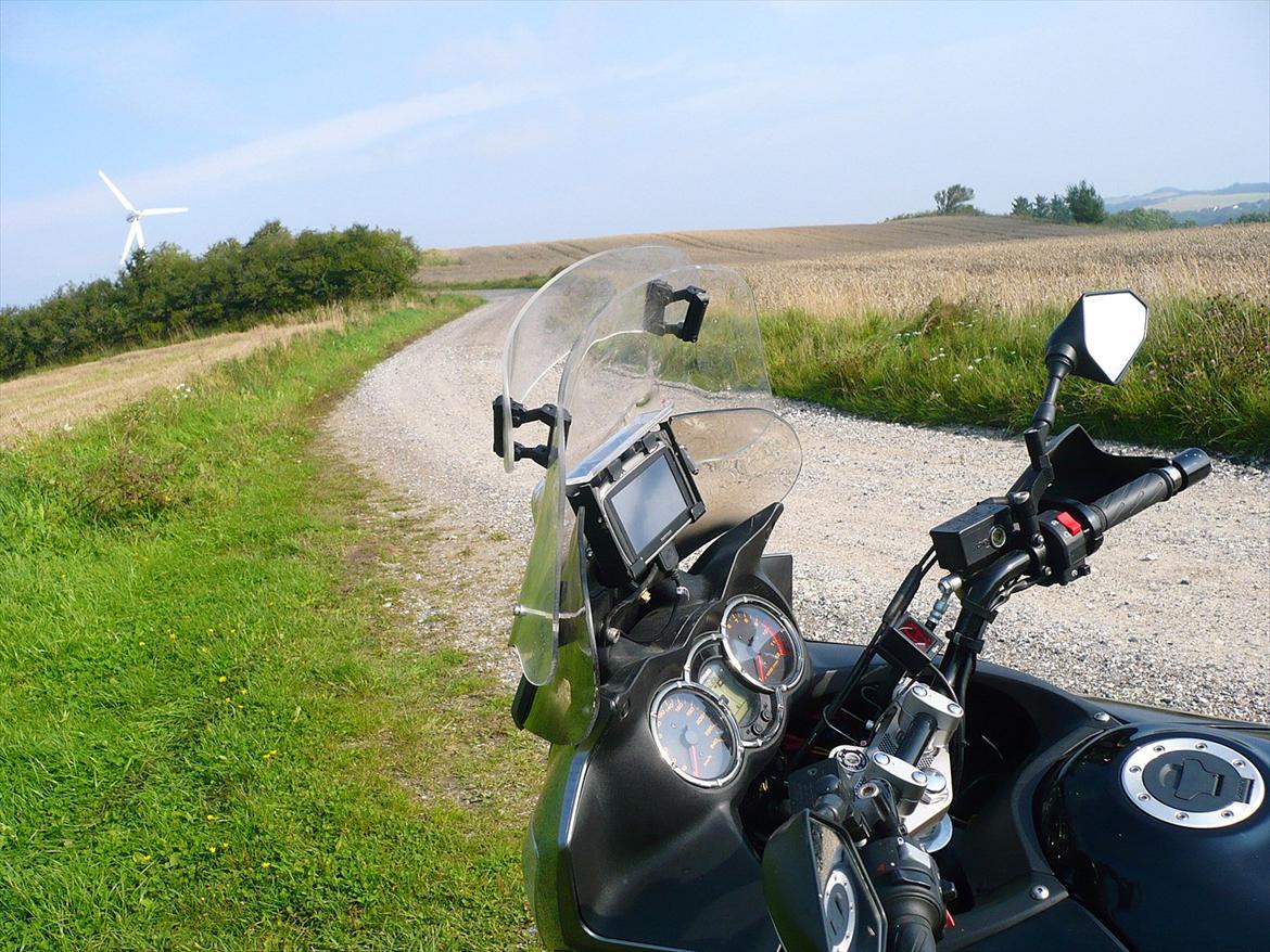 Suzuki DL 1000 billede 5