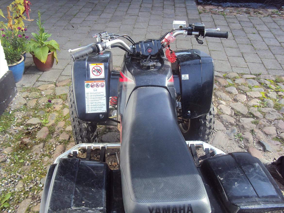 Yamaha YFS 200 Blaster ( Quad / Atv ) billede 9