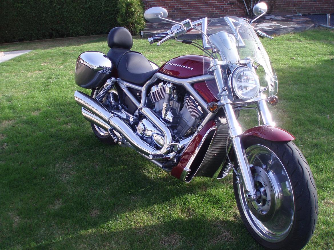 Harley Davidson V-Rod VRSCA - Med kåbe. billede 8