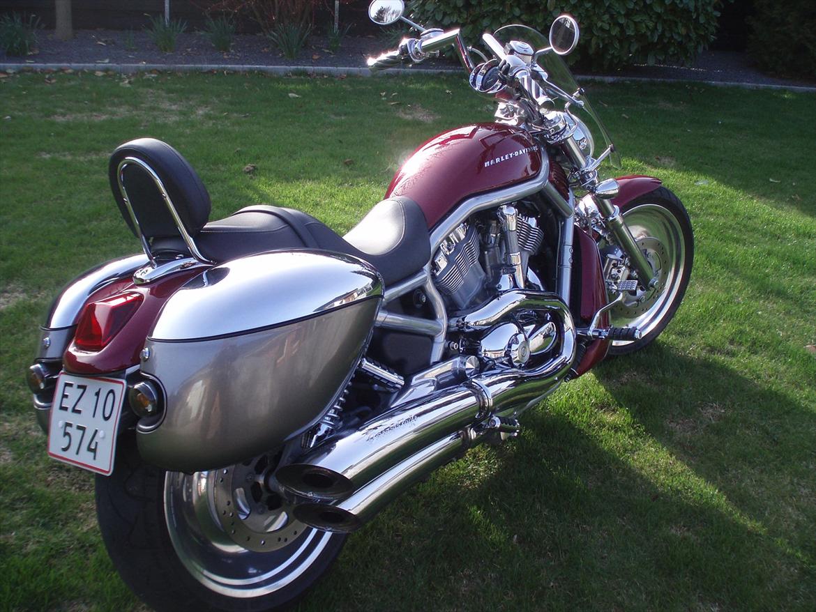 Harley Davidson V-Rod VRSCA billede 9