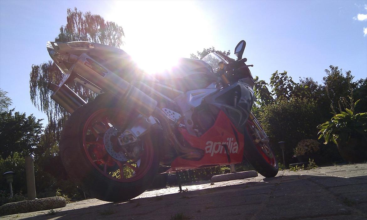 Aprilia RSV 1000 R billede 8
