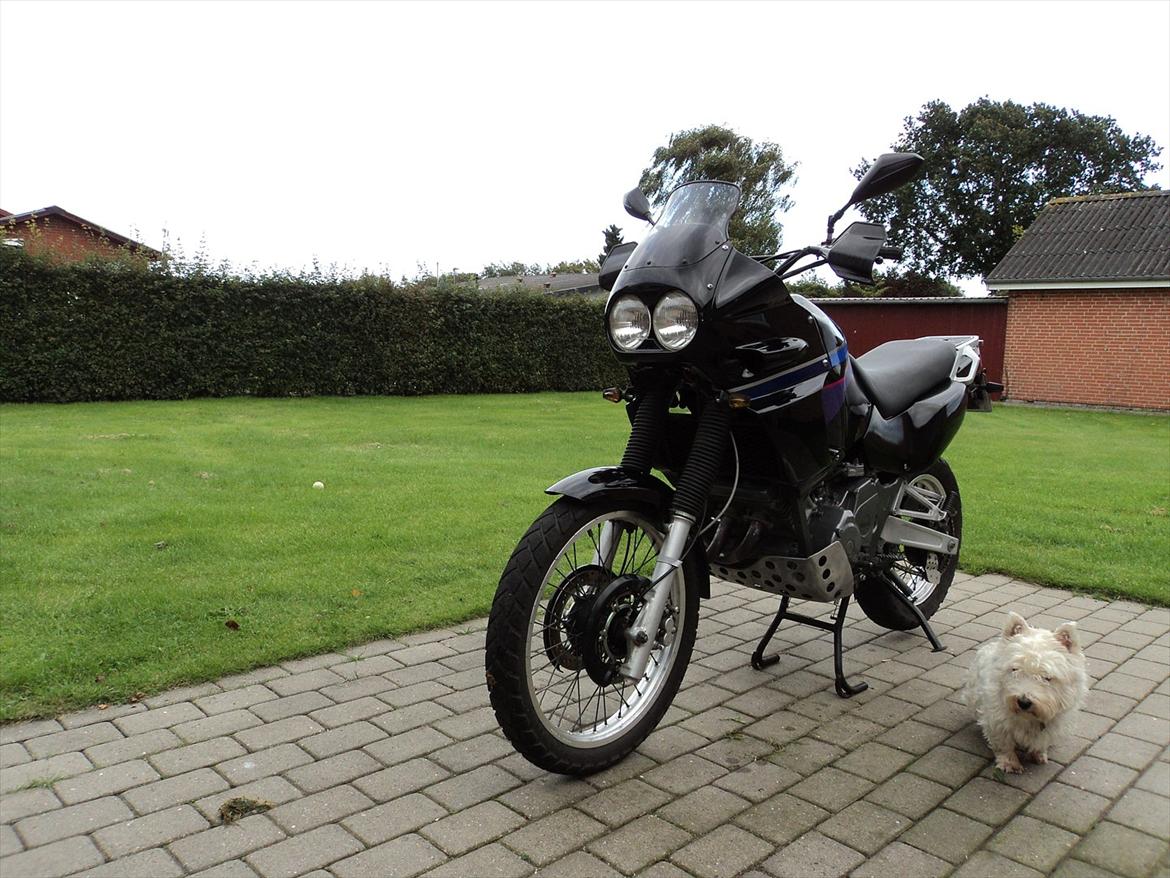 Yamaha xtz 750 super tenere (solgt) - super tenere + vagthund billede 2
