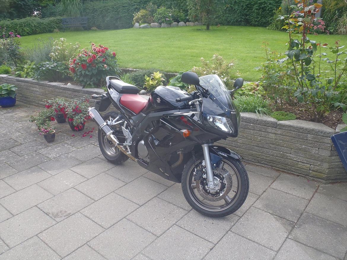 Suzuki SV650 billede 1