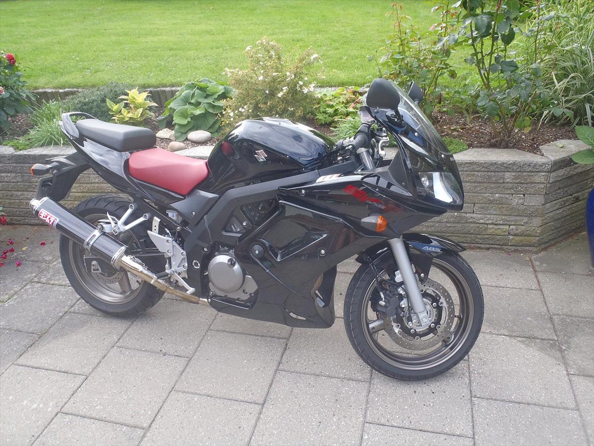 Suzuki SV650 billede 2