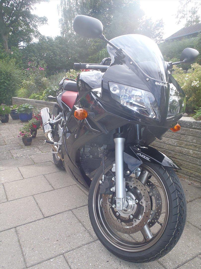 Suzuki SV650 billede 4