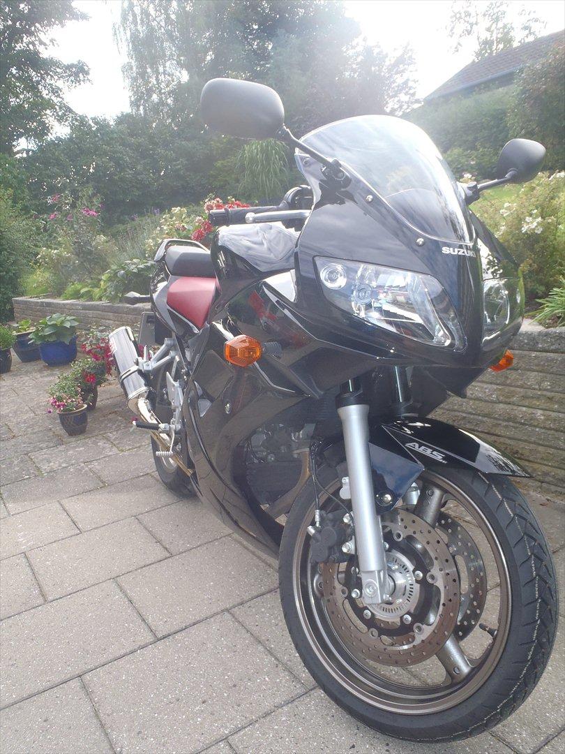 Suzuki SV650 billede 5