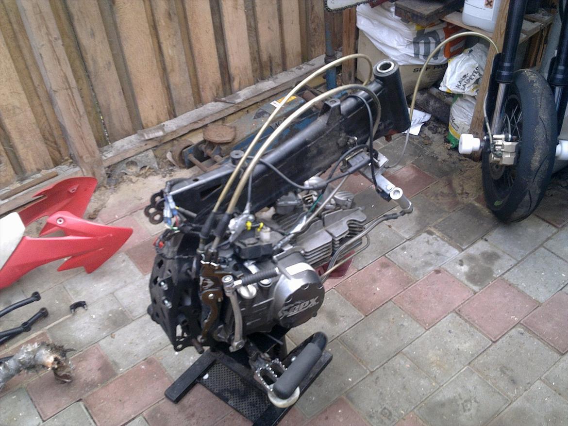 Lifan Pitpro Yx 150 ccm minimotard billede 14