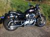 Harley Davidson XLH 883 Sportster [Tidl. motorcykel]