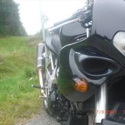 Suzuki tl 1000 s