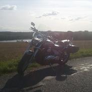 Suzuki intruder M800