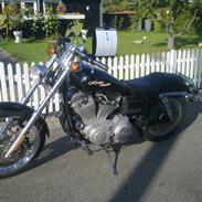 Harley Davidson Sporster XL 53 Custom 