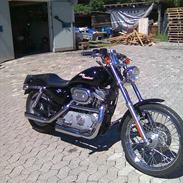 Harley Davidson Sporster XL 53 Custom 