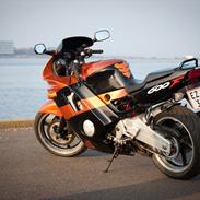 Honda CBR 600 F2 (SOLGT)