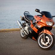 Honda CBR 600 F2 (SOLGT)