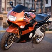 Honda CBR 600 F2 (SOLGT)