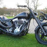 Harley Davidson FLST