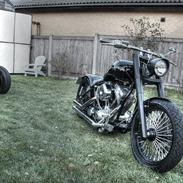 Harley Davidson Hardass 1340