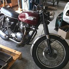 Triumph TR6 Trophy