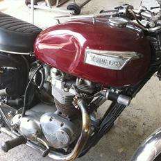 Triumph TR6 Trophy