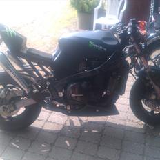 Kawasaki GPZ 1000 Figther