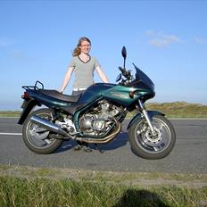 Yamaha XJ 600 S Diversion