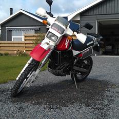 Suzuki DR 650 R