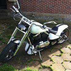 Kawasaki VN 800 *LOW RIDER*