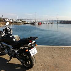 Yamaha FZ-6 N