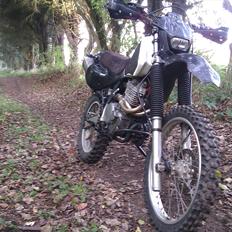 Honda XR 600