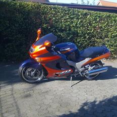 Kawasaki ZZR 1100 D-model