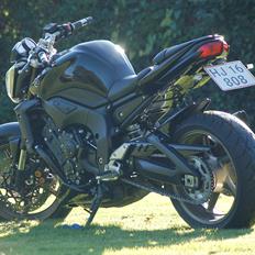 Yamaha FZ1-N