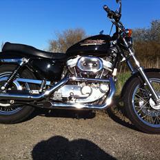 Harley Davidson XLH 883 Sportster