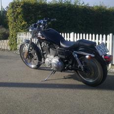 Harley Davidson Sporster XL 53 Custom 