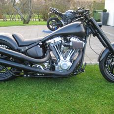 Harley Davidson FLST