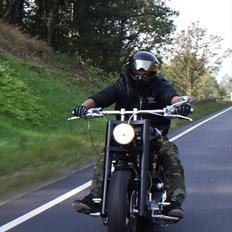 Harley Davidson Hardass 1340