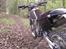 Honda XR 600 - Go´ røv der.....
