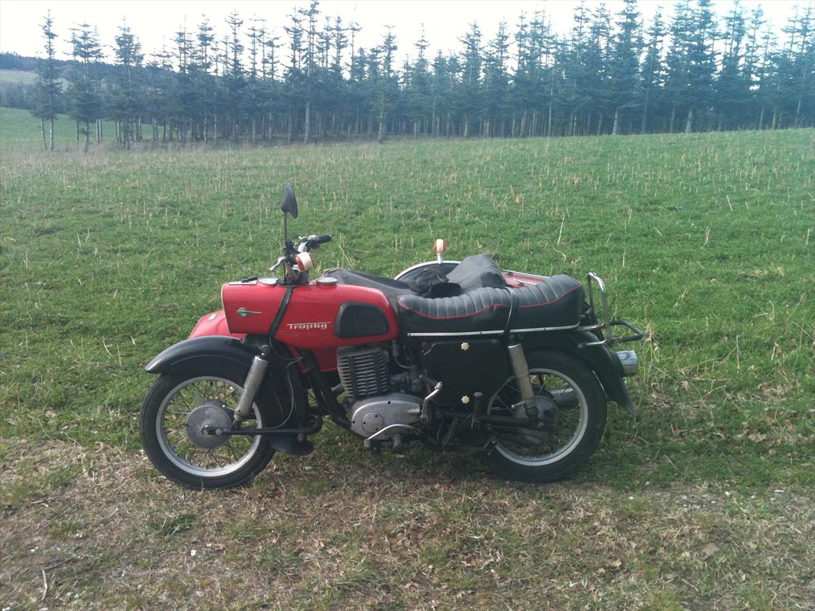 MZ ES 250/2 - Superelastik billede 5