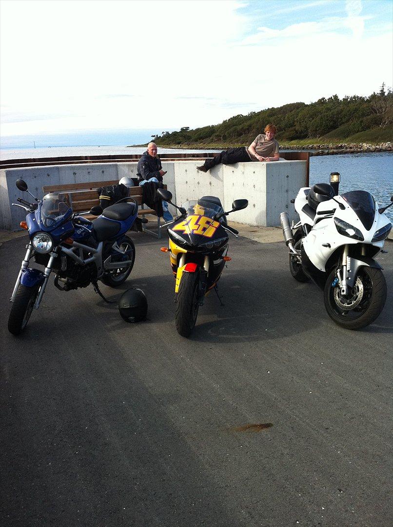 Yamaha R6 billede 10