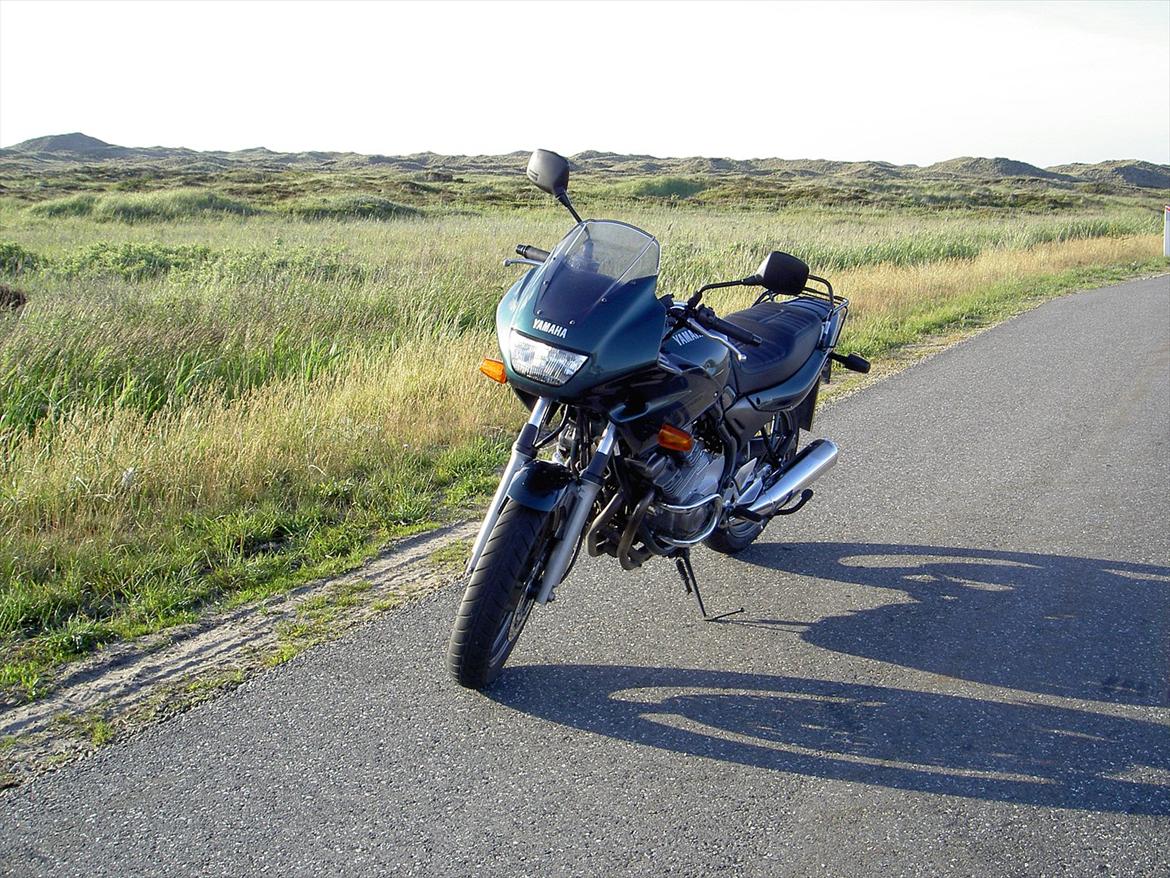 Yamaha XJ 600 S Diversion billede 3