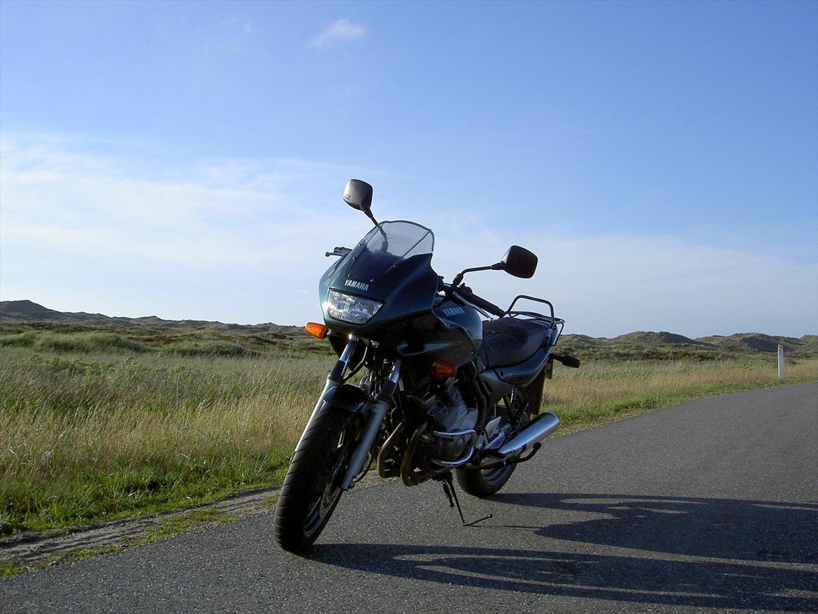 Yamaha XJ 600 S Diversion billede 4