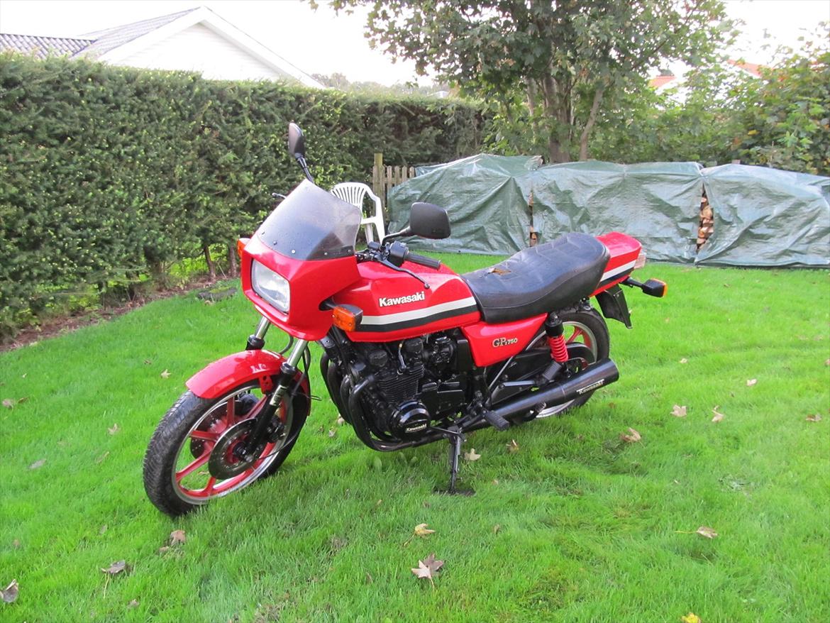 Kawasaki Z 750 GP billede 1