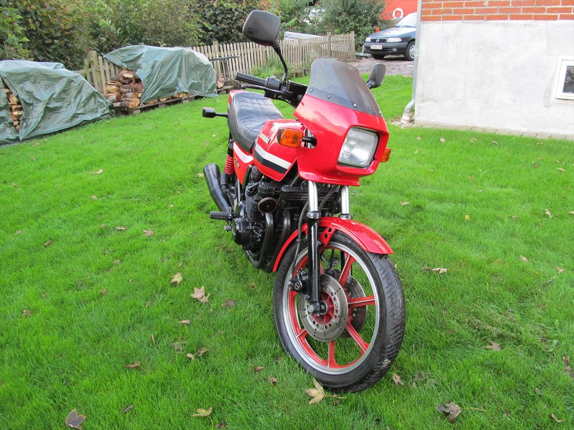 Kawasaki Z 750 GP billede 3