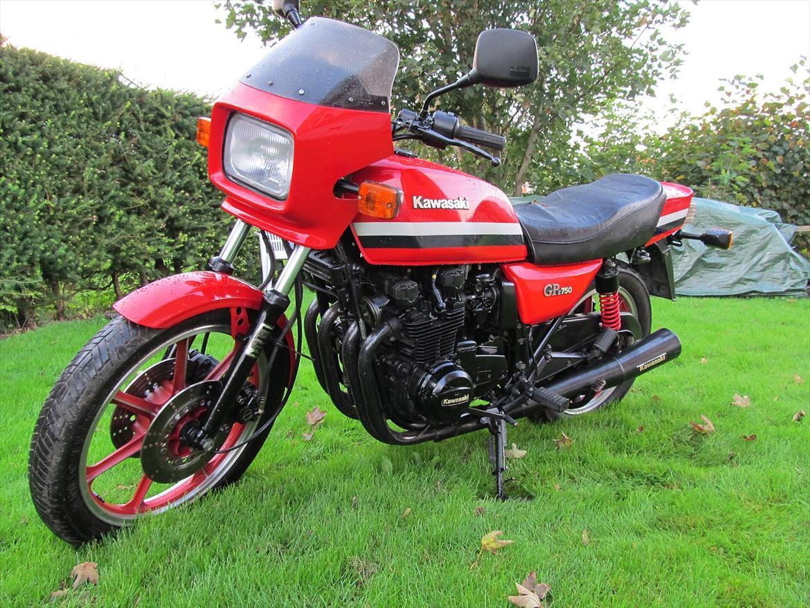 Kawasaki Z 750 GP billede 9