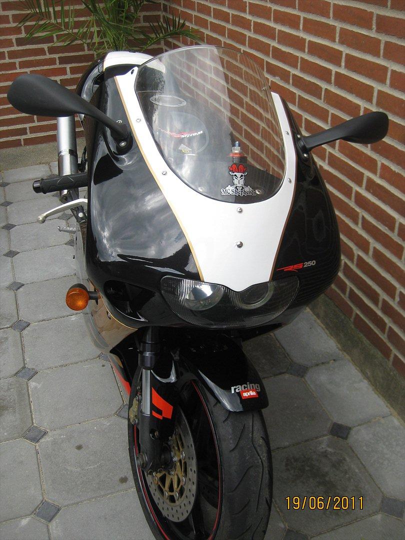 Aprilia RS 250 billede 6